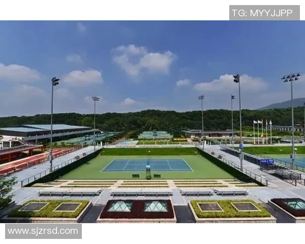 北京网球队比赛经验分析与表现评估的综合研究报告