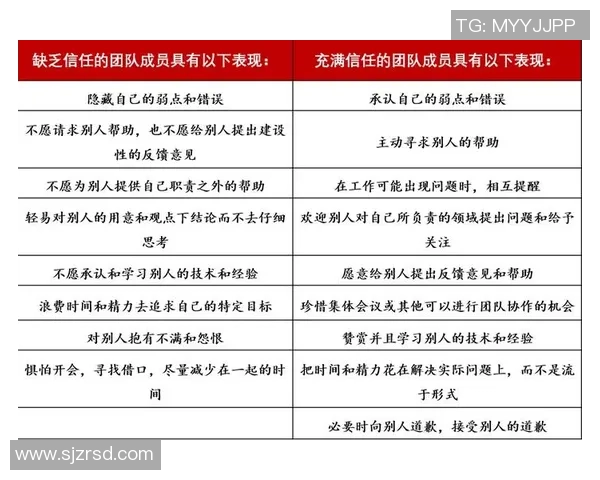 南京羽毛球队团队协作表现的数据分析与提升策略探讨