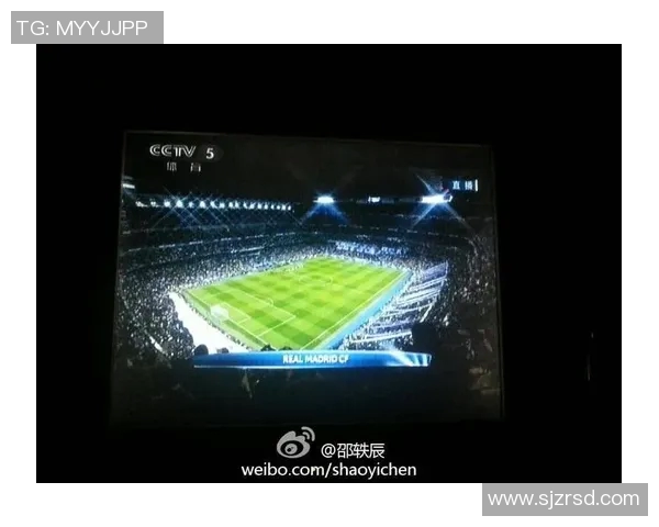 广州排球队的阵地战策略解析与战术深度剖析